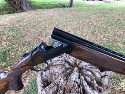 Gun Image 1