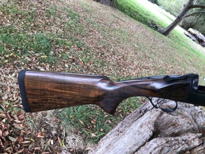 Gun Image 2