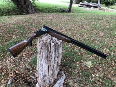 Gun Image 3
