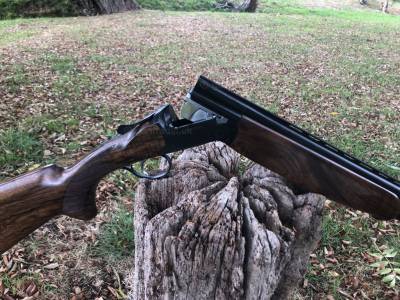 Gun Image 3