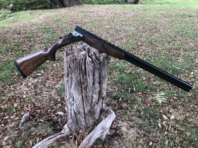 Gun Image 2