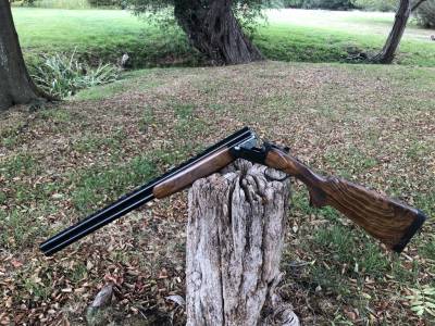Gun Image 3