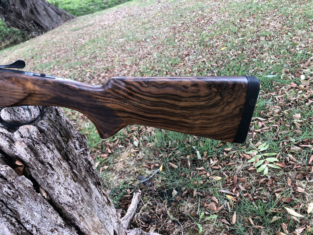 Photo of this gun