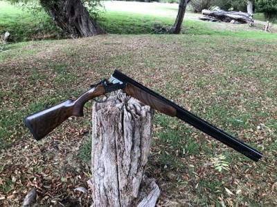 Gun Image 3