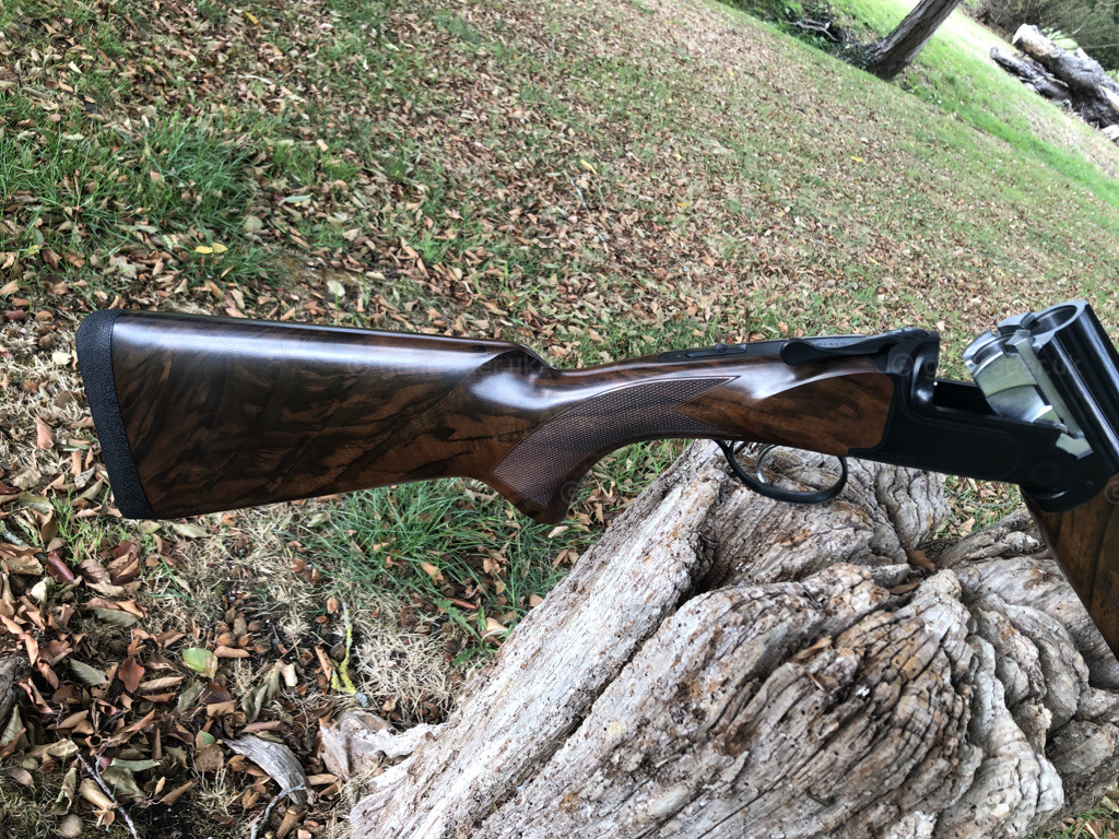 Photo of this gun