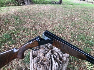 Gun Image 2