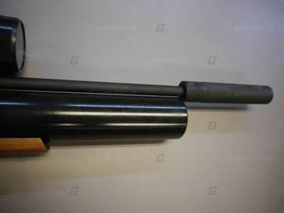 Webley .22 Eagle