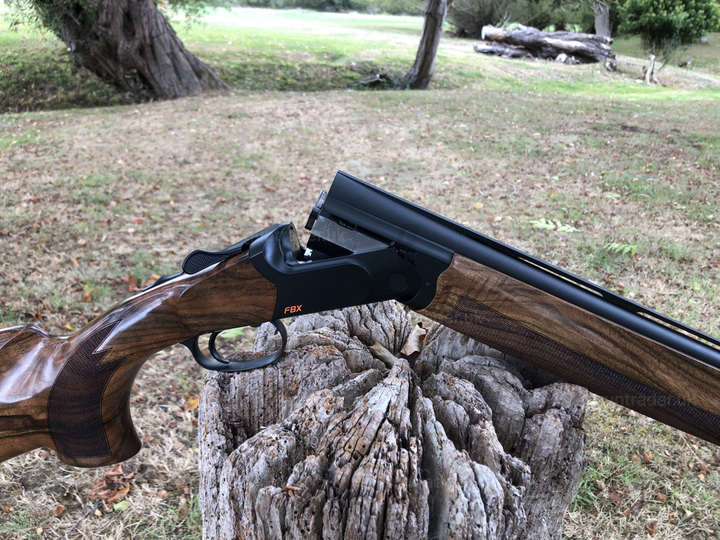 Photo of this gun