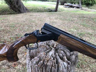 Gun Image 4