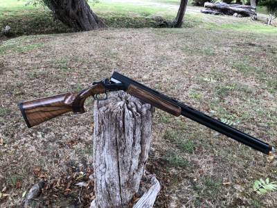 Gun Image 6