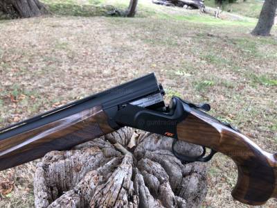 Gun Image 1