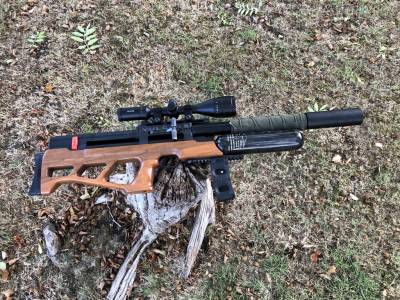 Gun Image 4