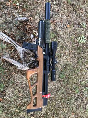 Gun Image 1