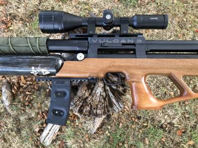 Gun Image 3