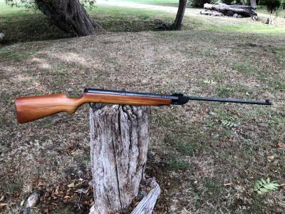 Gun Image 1