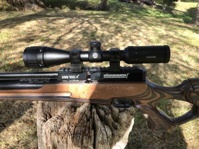 Gun Image 5