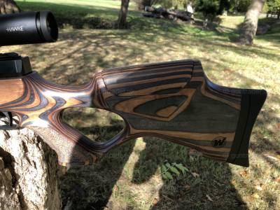 Gun Image 1