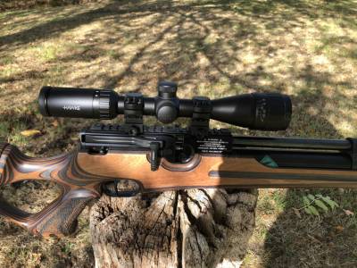 Gun Image 4