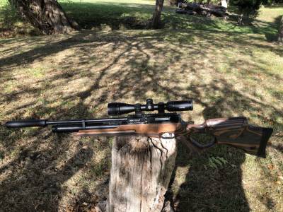 Gun Image 3