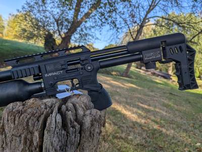 Gun Image 1