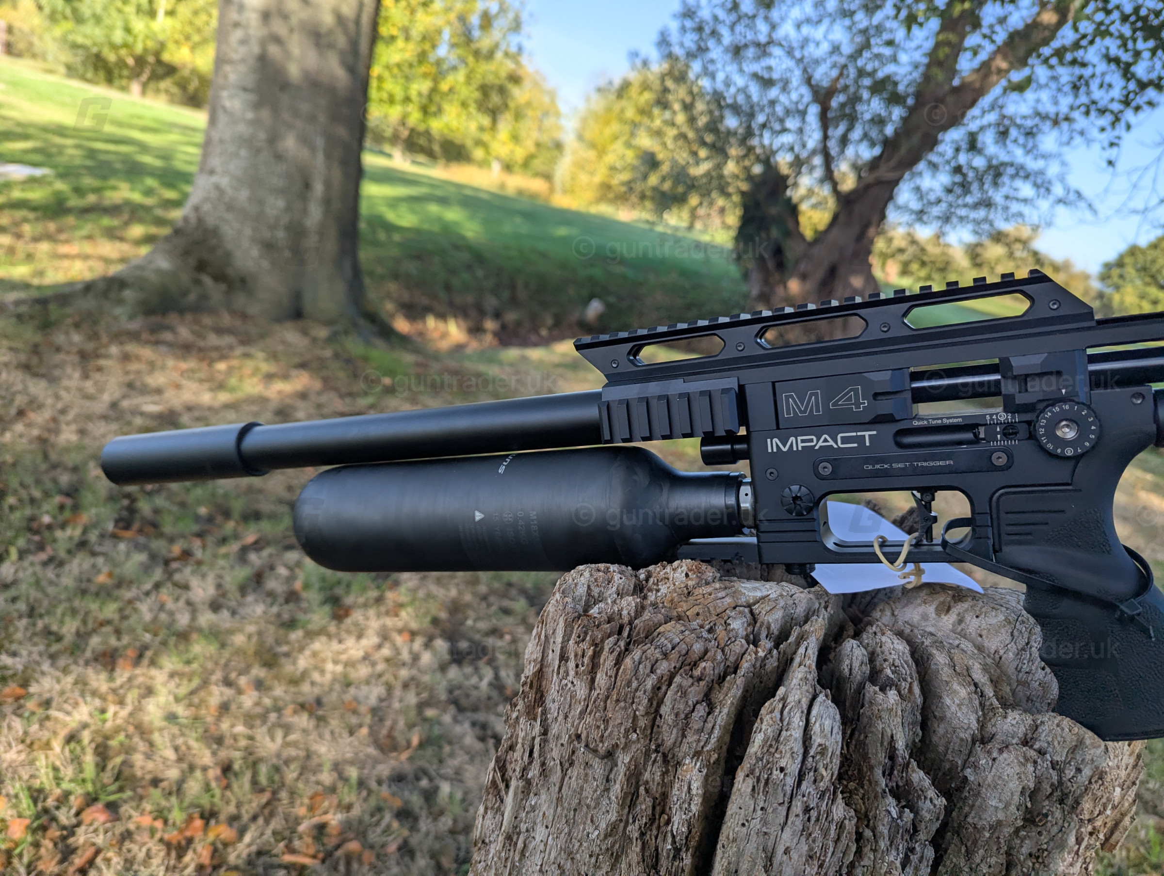 Photo of this gun