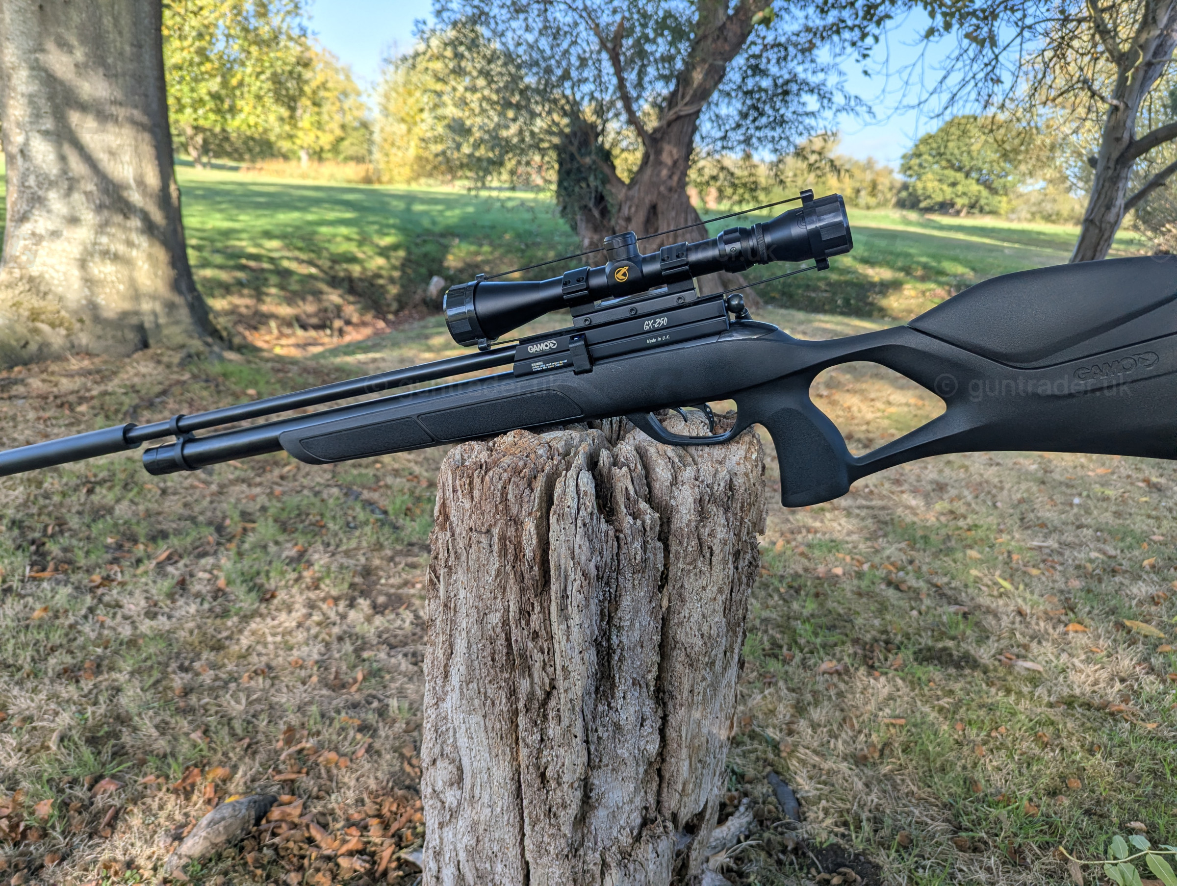 Photo of this gun