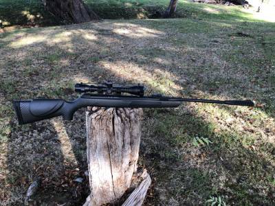 Gun Image 2