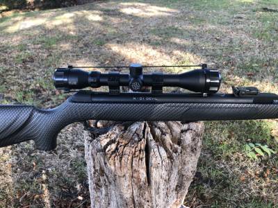 Gun Image 3