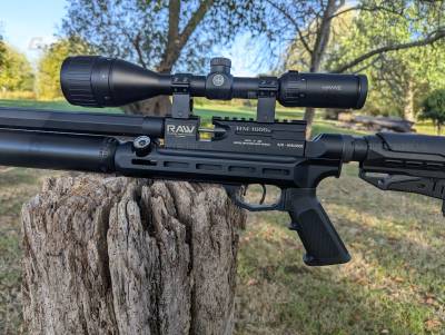 Gun Image 1