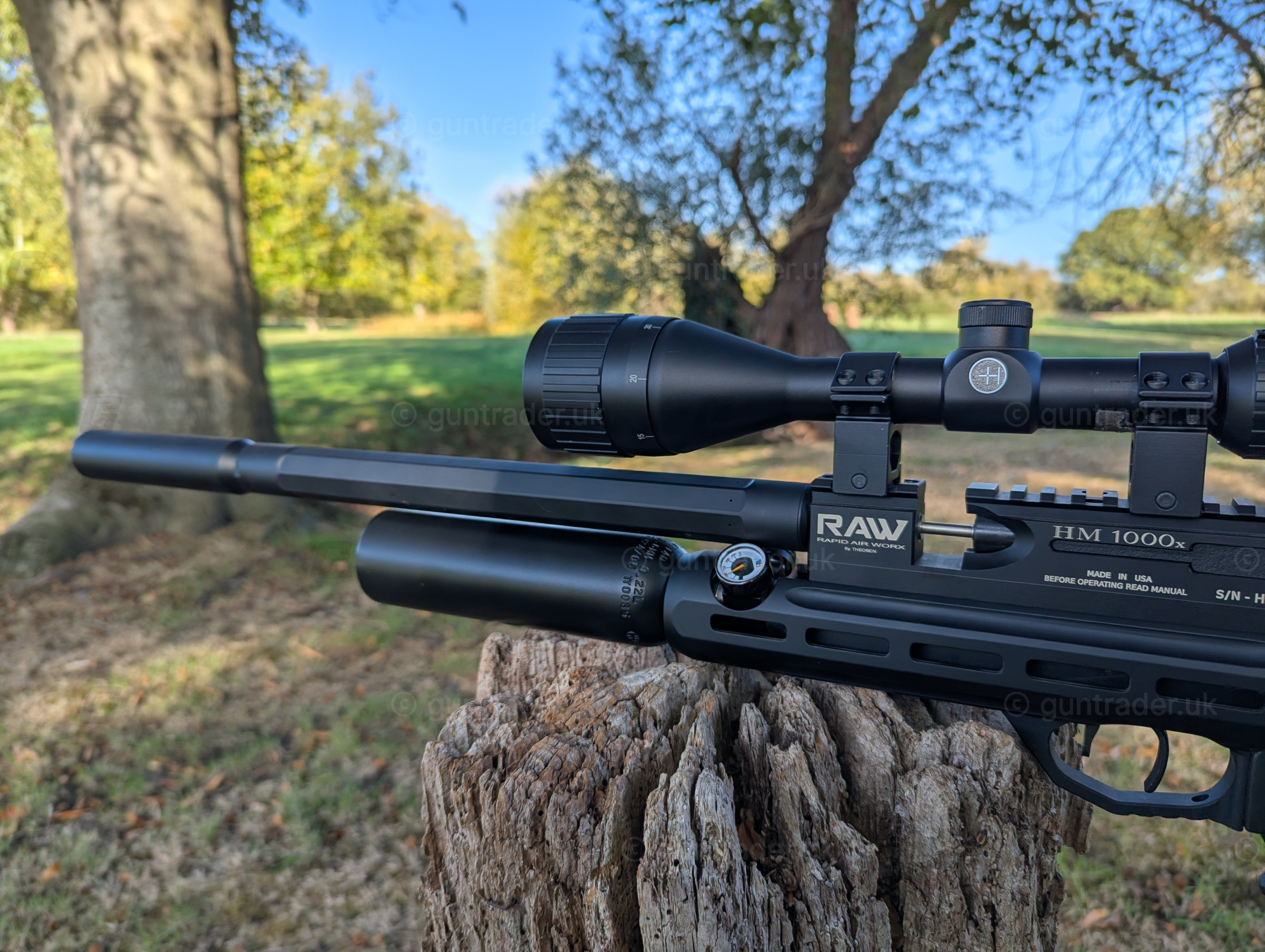 Photo of this gun
