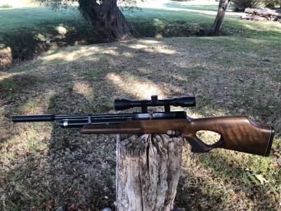 Gun Image 1