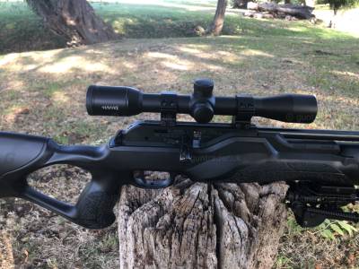 Gun Image 1