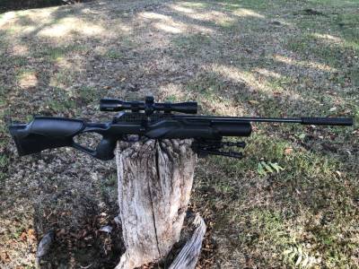 Gun Image 3