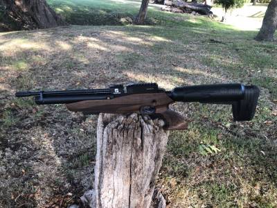 Gun Image 2
