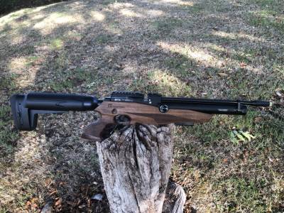 Gun Image 3