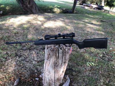 Gun Image 3