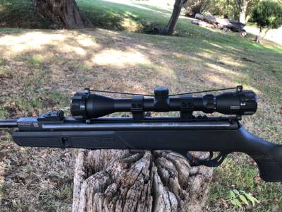 Gun Image 1