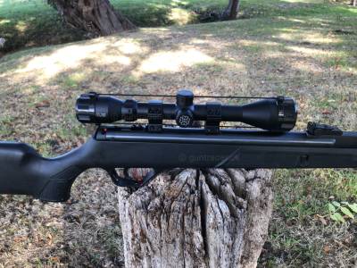 Gun Image 2