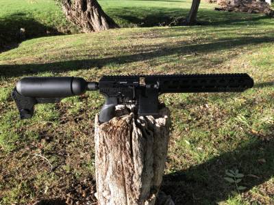 Gun Image 3