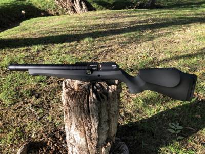 Gun Image 2