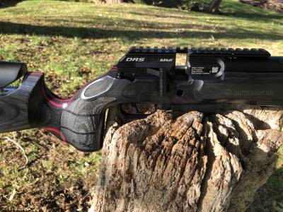 Gun Image 2