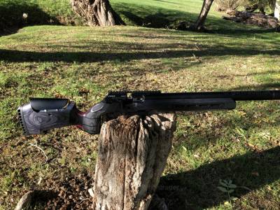 Gun Image 4