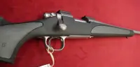 Remington .243 700 SPS