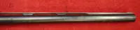 Fabarm 12 gauge LION H368