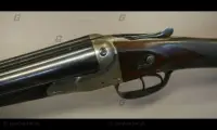 Greener, W. W. 12 gauge Unknown