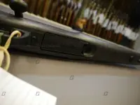 Remington .308 783