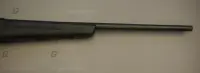 Remington .243 783