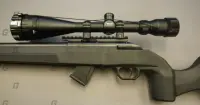Howa .22 LR M1100