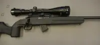 Howa .22 LR M1100