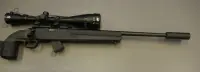 Howa .22 LR M1100
